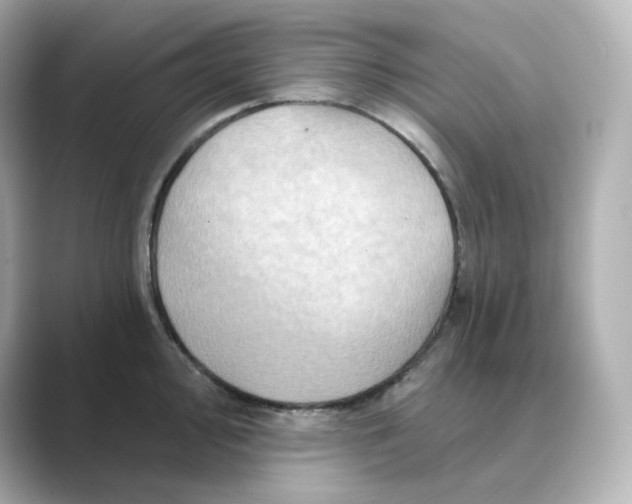 X0000088731000200706212035