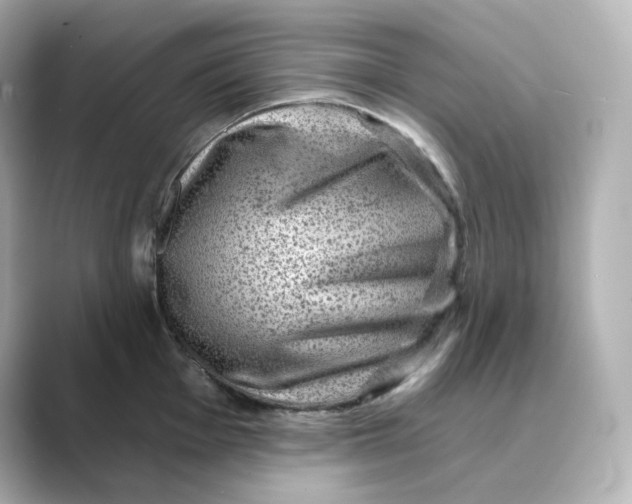 X0000088731001200706212035