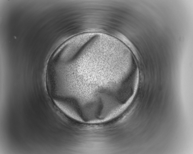 X0000088731002200706212035