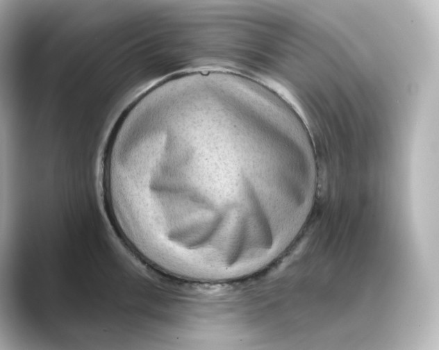 X0000088731003200706212035