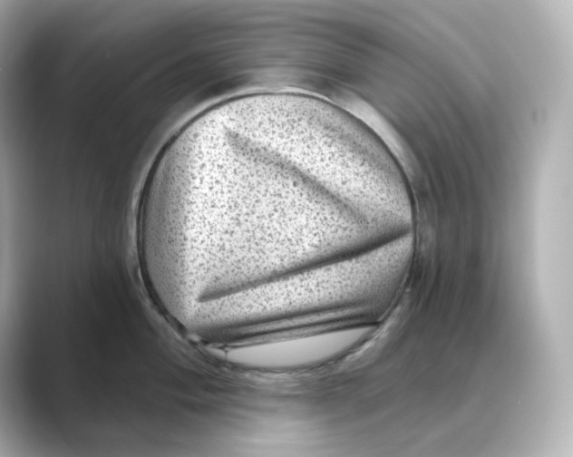 X0000088731004200706212035