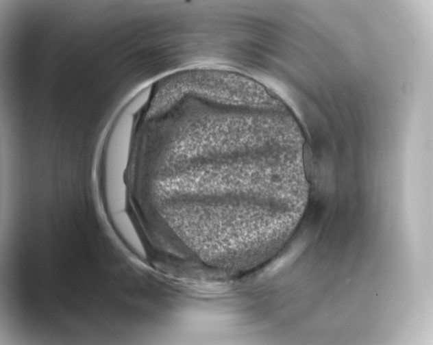 X0000088731007200706212035