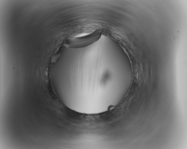 X0000088731013200706212035