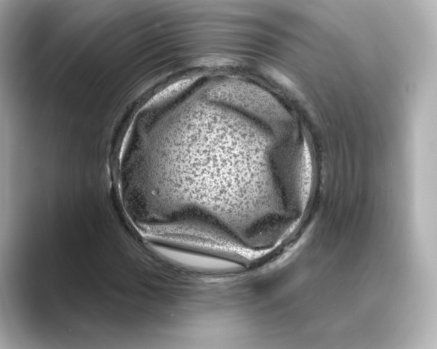 X0000088731017200706212035