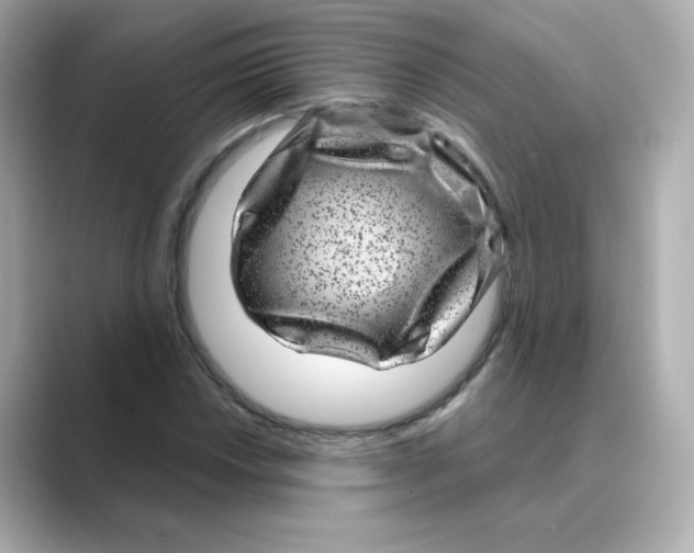 X0000088731018200706212035