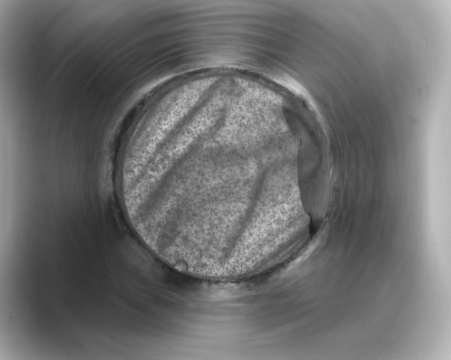 X0000088731019200706212035