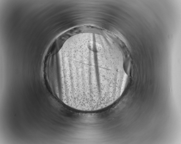 X0000088731020200706212035