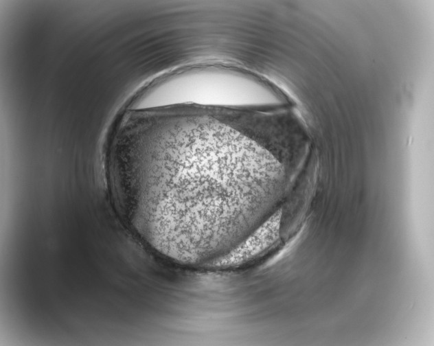 X0000088731022200706212035