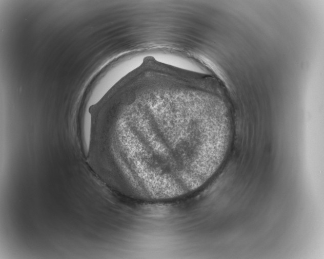 X0000088731023200706212035