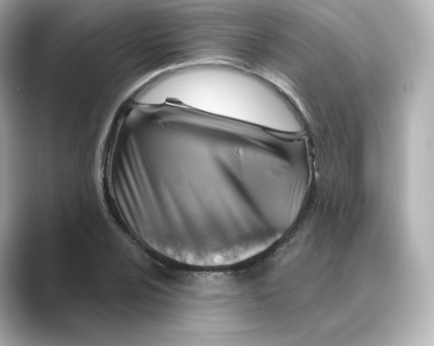 X0000088731024200706212035