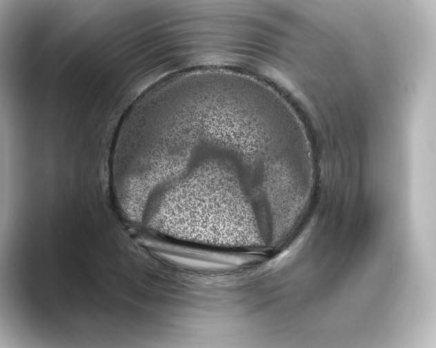 X0000088731025200706212035