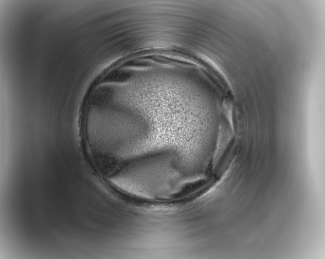 X0000088731026200706212035