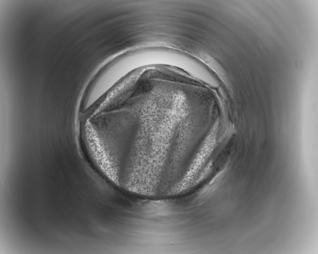 X0000088731028200706212035