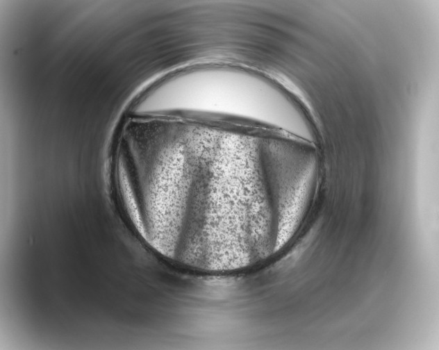 X0000088731029200706212035