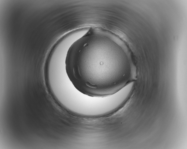 X0000088731030200706212035