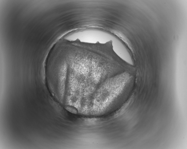 X0000088731031200706212035