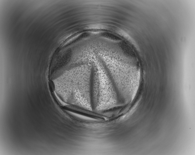 X0000088731033200706212035