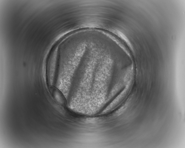 X0000088731035200706212035