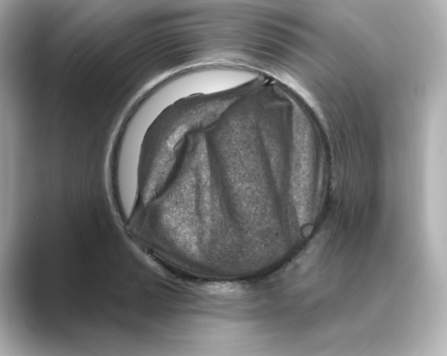 X0000088731037200706212035