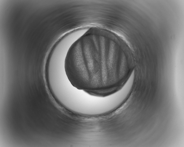 X0000088731038200706212035