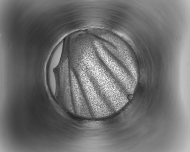 X0000088731039200706212035