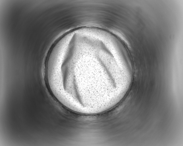 X0000088731040200706212035