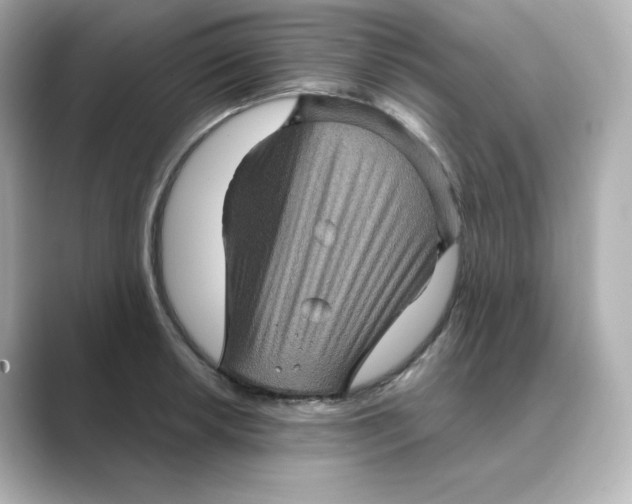 X0000088731042200706212035