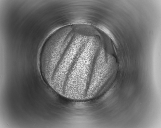 X0000088731043200706212035