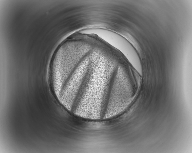 X0000088731044200706212035