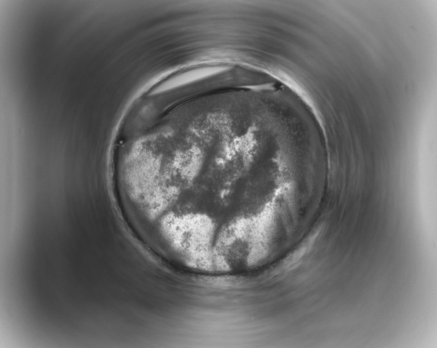 X0000088731045200706212035