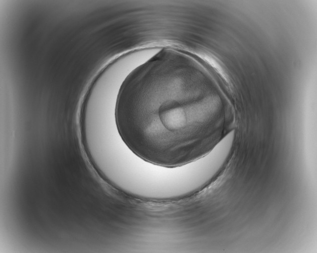 X0000088731046200706212035