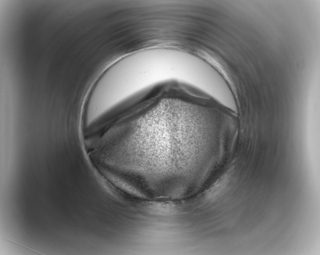 X0000088731050200706212035