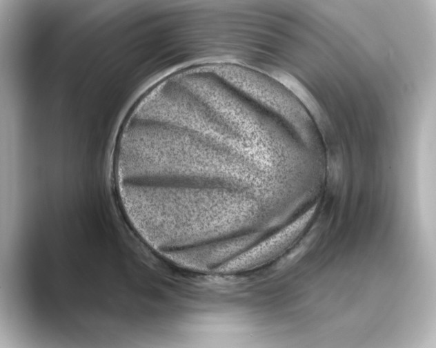 X0000088731052200706212035