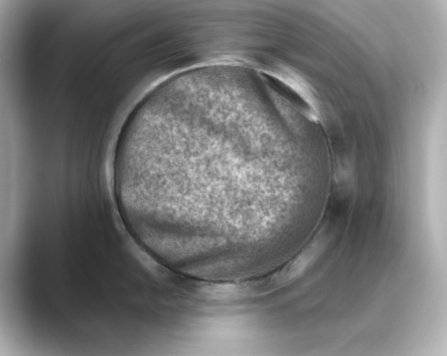 X0000088731054200706212035