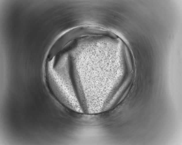 X0000088731056200706212035