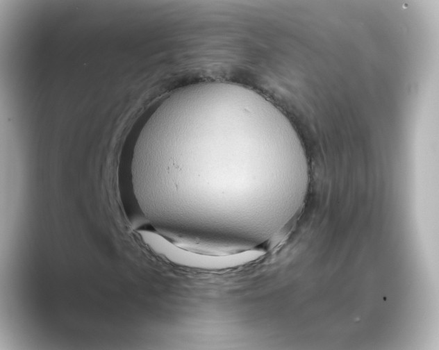 X0000088731057200706212035