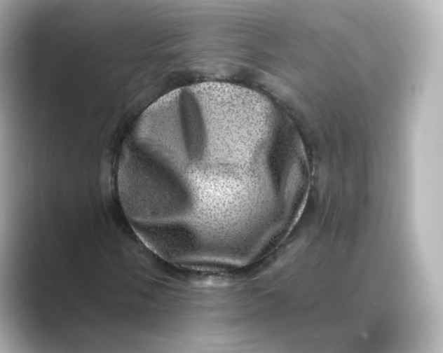 X0000088731058200706212035