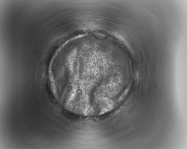 X0000088731063200706212035