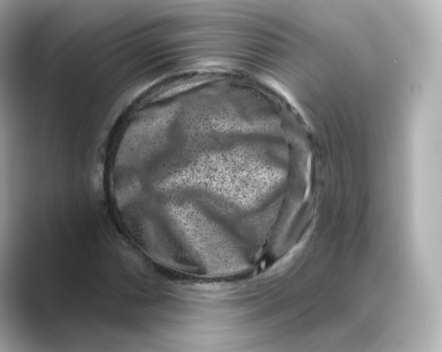 X0000088731066200706212035