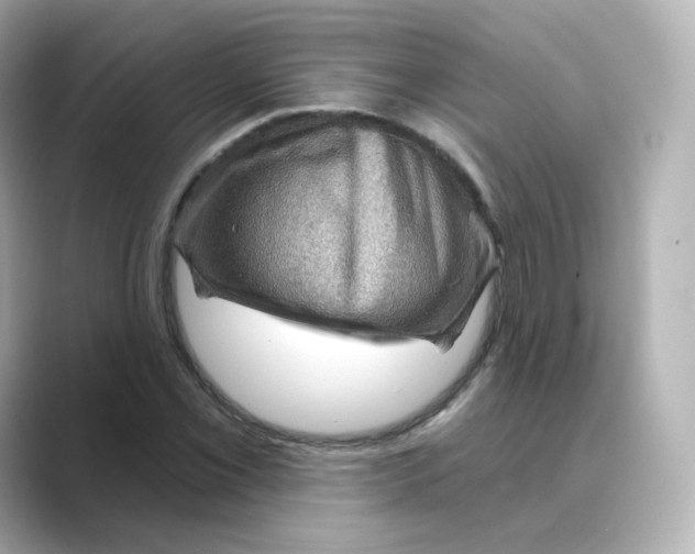 X0000088731069200706212035