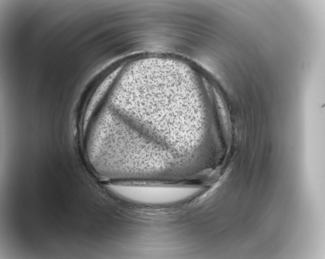 X0000088731070200706212035