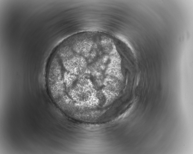 X0000088731071200706212035