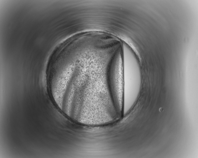 X0000088731072200706212035