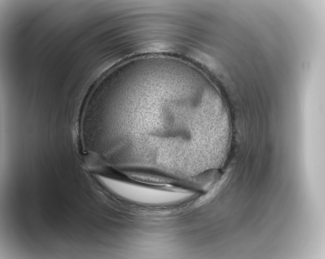 X0000088731073200706212035