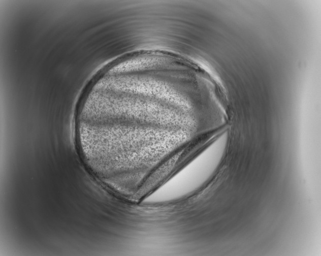 X0000088731076200706212035