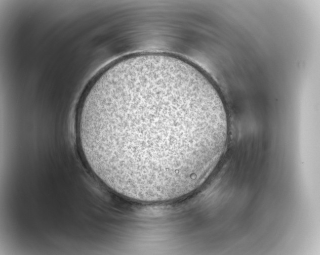 X0000088731078200706212035