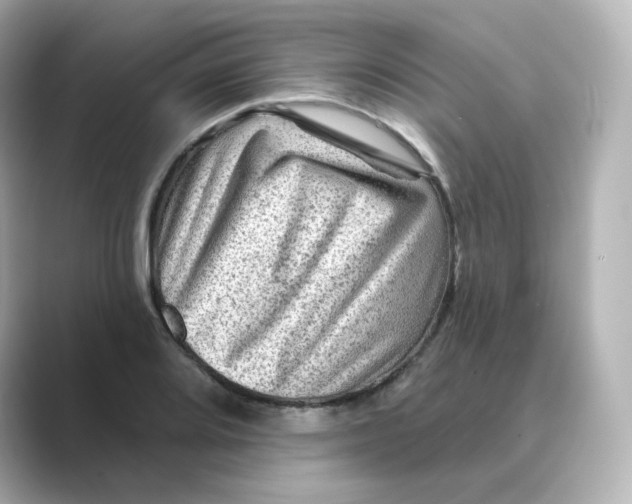 X0000088731080200706212035