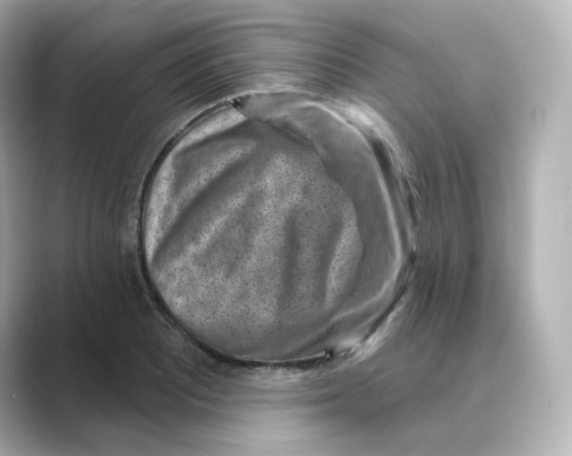 X0000088731081200706212035