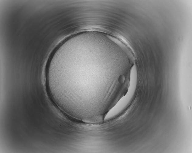 X0000088731082200706212035