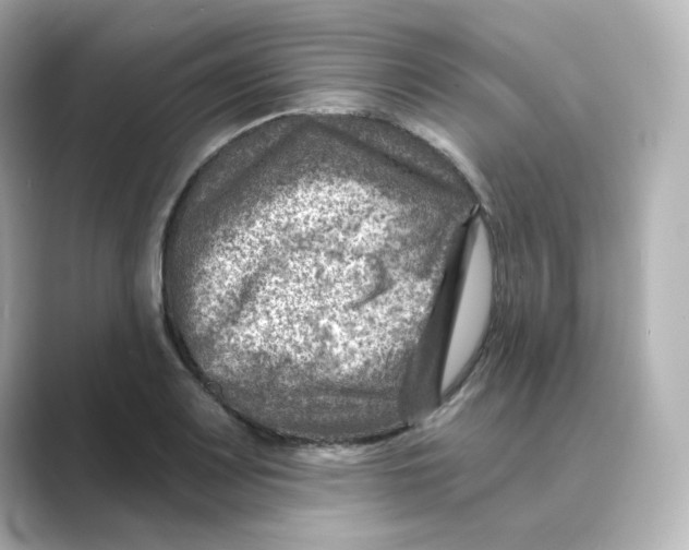 X0000088731083200706212035